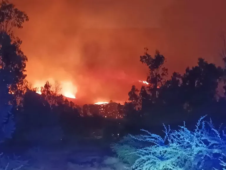 Declaran alerta roja para las comunas de San Javier y Retiro por incendios forestales