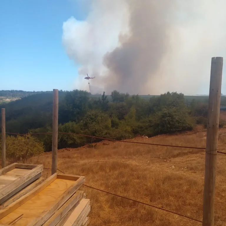 Detienen a Hombre que trabajaba en estructuras metálicas que provocaron chispas y habrían originado incendio en Litueche