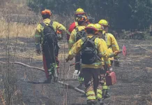 Brigadista resulta lesionado en incendio forestal Cajón de Pejerrey que mantiene Alerta Roja en Linares brigadistas forestales de CONAF