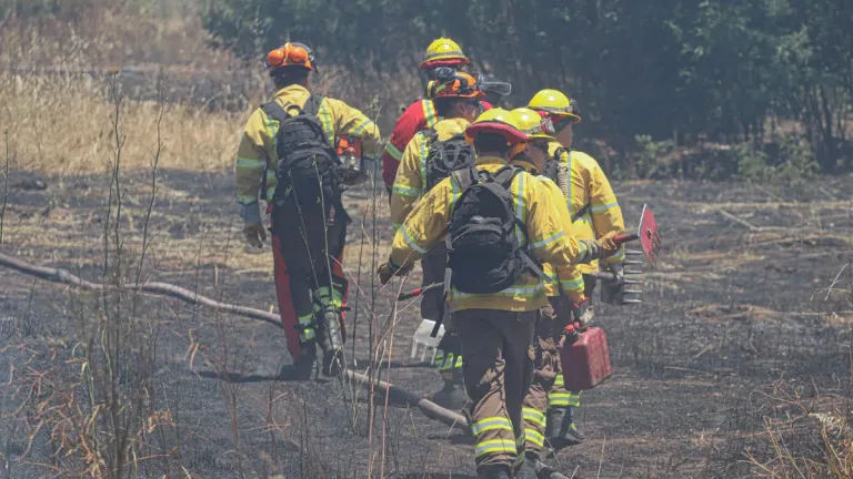 Fuego amenaza a viviendas: Declaran Alerta Roja por incendio forestal en comuna de Isla Grande de Chiloé