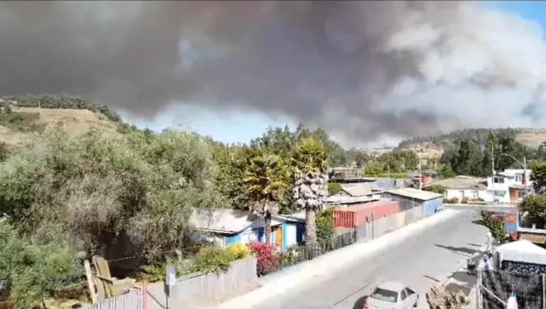 Presidente del consejo de comandantes de los cuerpos de bomberos de O’Higgins emite comunicado sobre incendio forestales que afectan a la región