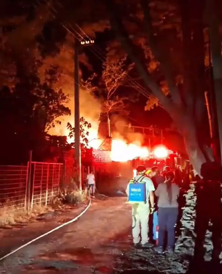 Dos viviendas resultaron destruidas por incendio en el lago Vichuquén