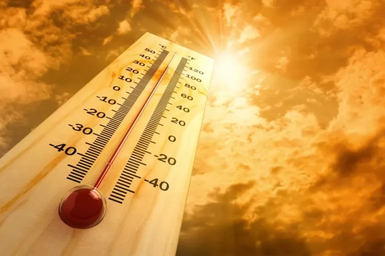 Pronostican temperaturas extremas para la zona centro sur