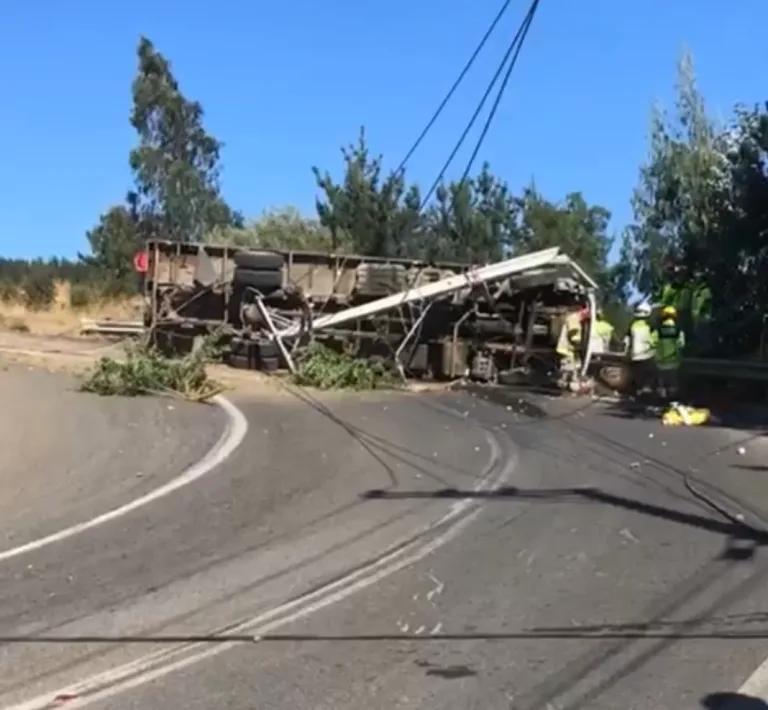 Volcamiento de Camión Provoca Corte de Energía en Zona Costera de Licantén y Vichuquén