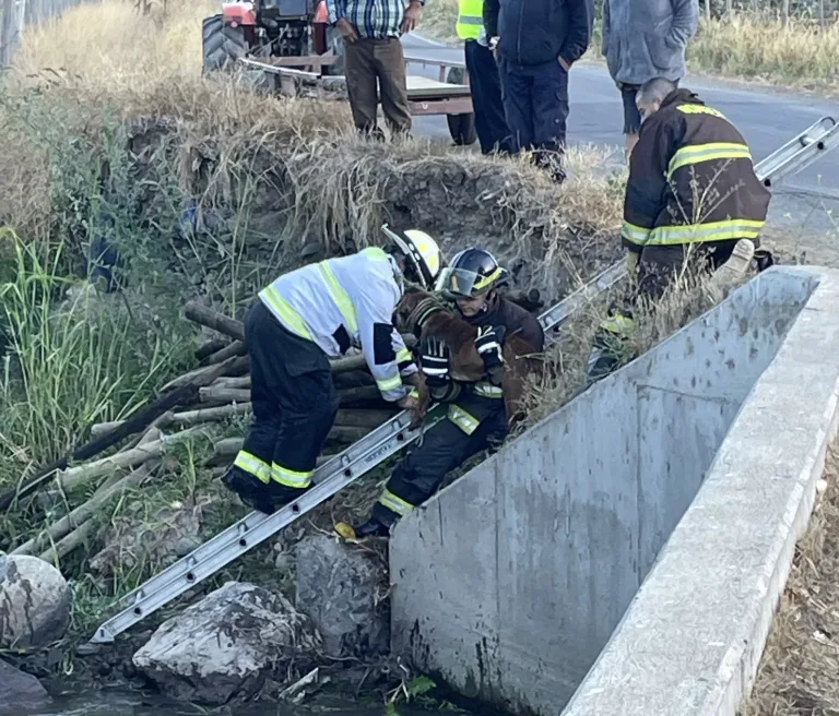 Bomberos de Sagrada Familia rescatan a perrito abandonado y fracturado en canal La Primavera