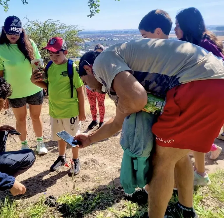 Siguen las actividades en el Cerro Carlos Condell de Curicó