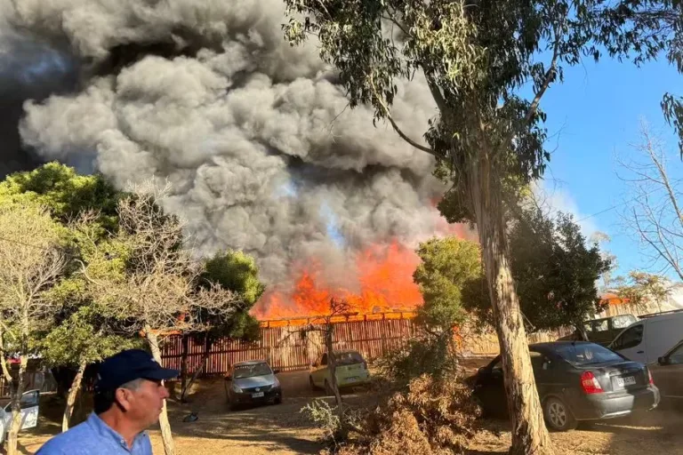 Incendio destruye medialuna en Fiesta de la Vendimia de Marchigüe