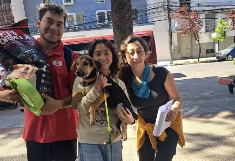 Exitosa jornada de adopción de perritos del ex refugio Almas en el Camino en la Plaza de Armas de Curicó