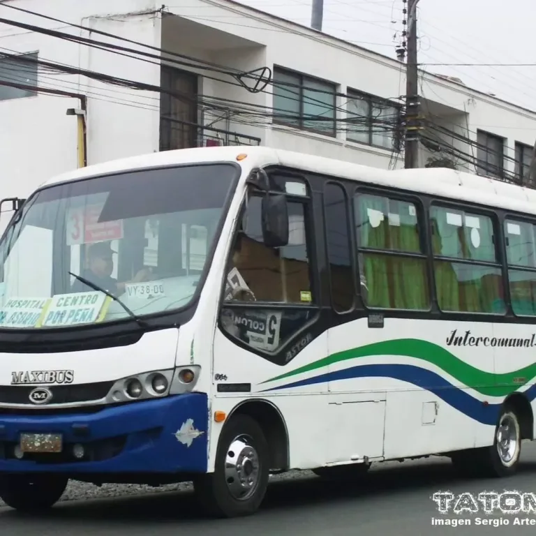 Línea de transporte urbano informó de nuevos recorridos hacia el Nuevo Hospital de Curicó