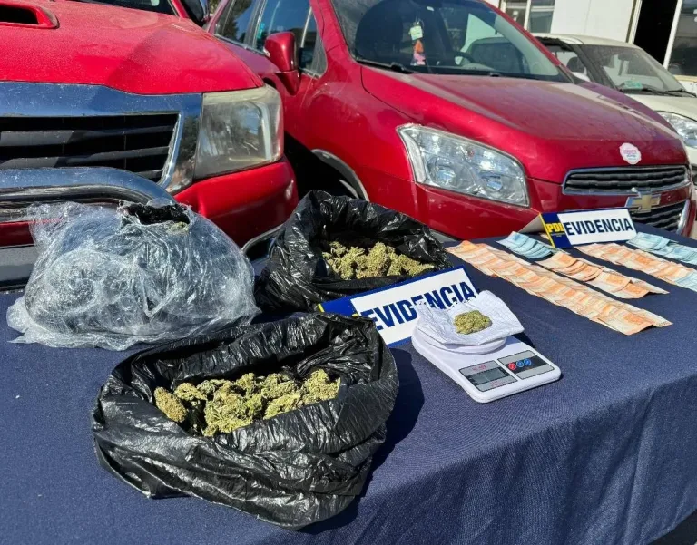 PDI detiene en Pichidehua a hombre con marihuana valorada en más de siete millones de pesos