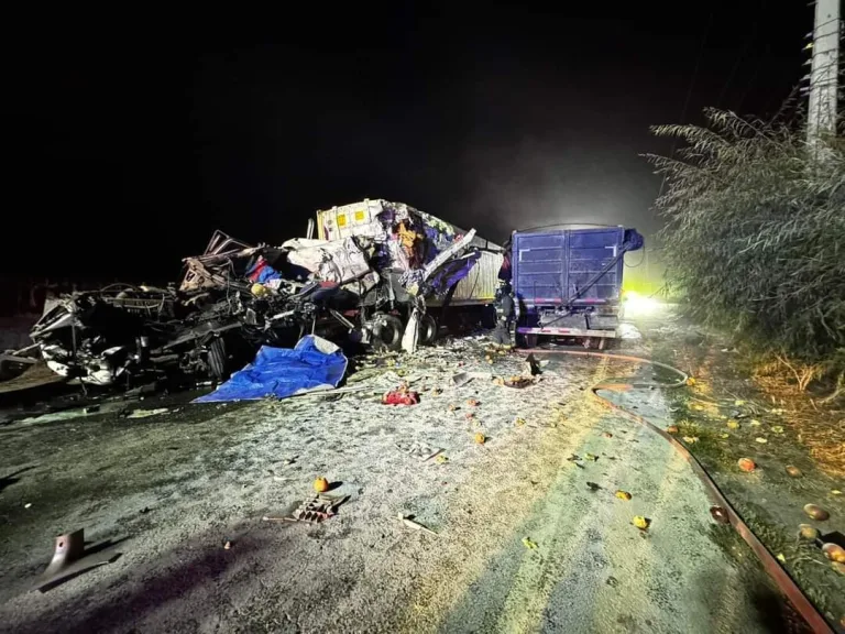 Violento choque de camiones en Ruta de la Fruta deja una persona fallecida y otra herida de gravedad