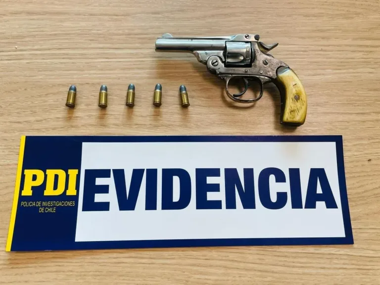 Detectives de la PDI incautan armas de fuego en la comuna de Linares