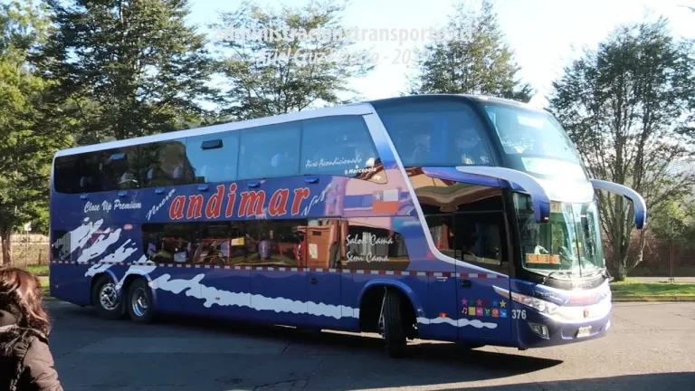 Encuentran fallecido a conductor de empresa de buses Andimar Curicó