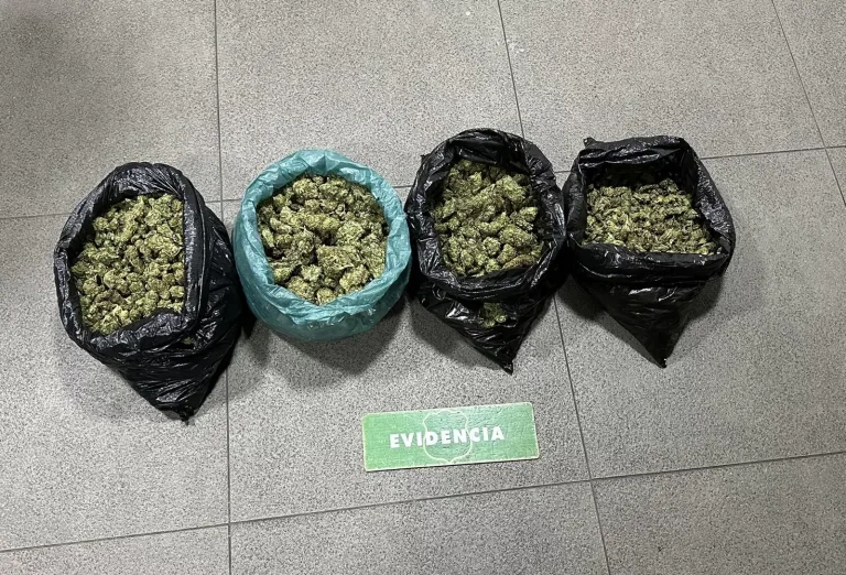 Carabineros detiene a sujeto por tráfico de drogas avaluadas en más de 20 millones de pesos