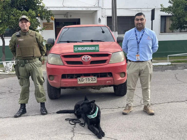 Aplicación de Seguridad Pública de Curicó Permite Recuperar Dos Vehículos con Encargo por Robo