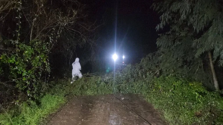 Trágico accidente en Linares: Caída de poste de energía eléctrica provoca la muerte de una persona