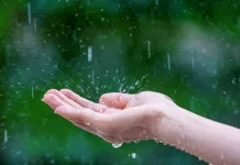 Close-up of wet female hands in rain