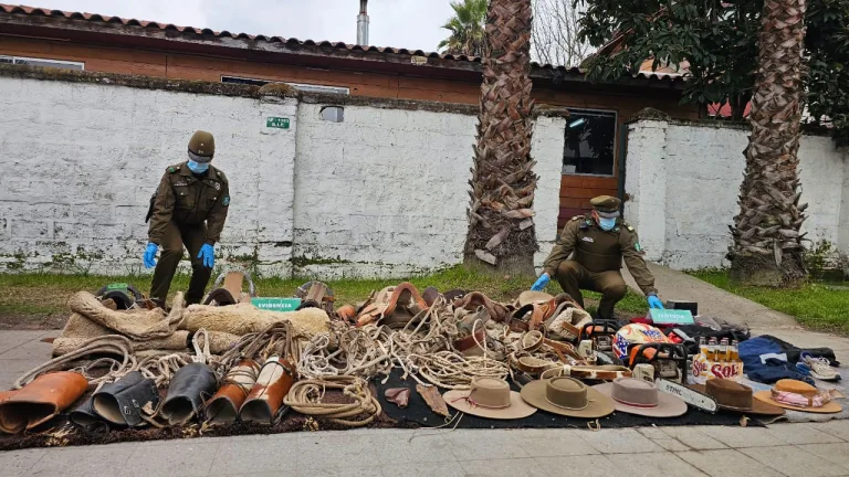 Carabineros detiene Banda delictual y Recupera Millonario Robo en Curicó