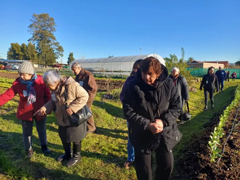 Adultos mayores visitan Granja Agroecológica Educativa Municipal de Curicó e intercambiaron semillas