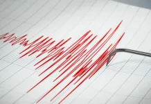 Terremoto de magnitud 7,5 sacude Japón y SHOA descarta amenaza de tsunami para Chile sismografo