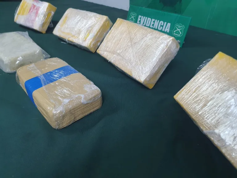 Carabineros incauta más de 100 millones de pesos en droga con apoyo del can «Gazam»