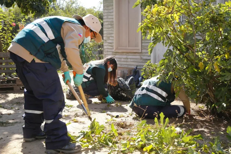 SAG O’Higgins exhibe importantes avances en campaña de erradicación de la Mosca de la Fruta en Chimbarongo