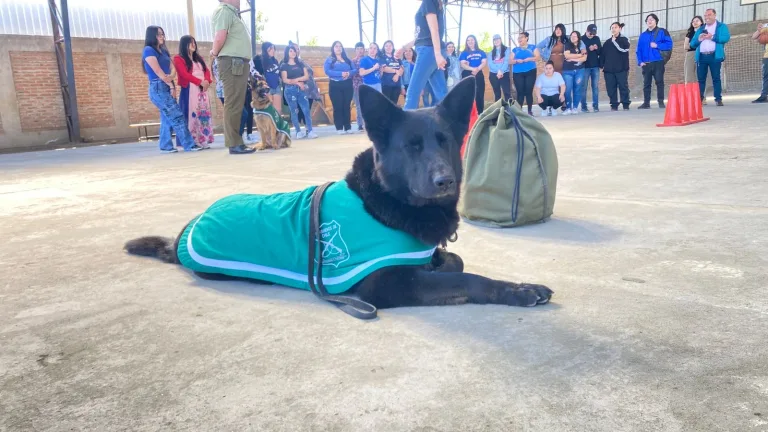 Carabineros y sección canina brindan jornada de entrenamiento a estudiantes del colegio Ceia de Parral