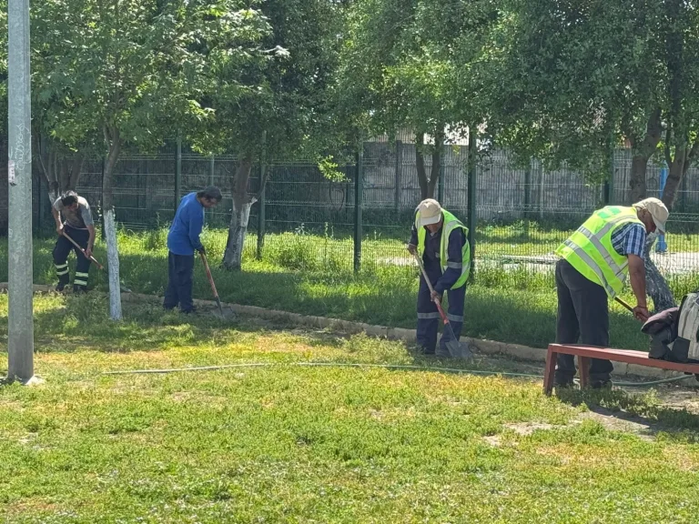 Refuerzan cuadrillas municipales para enfrentar el crecimiento de vegetación en áreas verdes de Curicó