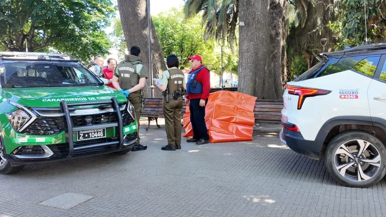 Adulto mayor es encontrado fallecido en plaza de armas de Molina