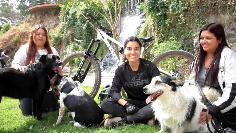 En Curicó impulsan campaña de adopción responsable de mascotas junto a destacada deportista local