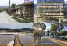 Provincia de Curicó vive última jornada del Día de los Patrimonios con actividades culturales, históricas y familiares dia-de-los-patrimonios