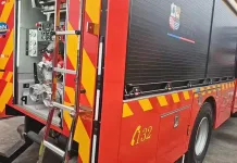 Incendio en bodega de Molina permitió descubrir plantación de marihuana en sector rural Molina refuerza su capacidad de respuesta ante emergencias con moderno carro bomba entregado a Bomberos