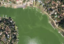 lago-vichuquen-abril-2025