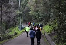 cerro-condell-1