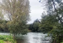 GOPE busca a adulto mayor desaparecido tras caer al Río Cato en Parral rio cato - parral