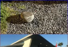 Violenta agresión en centro de salud de Curicó, municipio aún no se refiere al hecho sar aguas negras-0