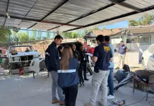 PDI, SII y Municipio Local realizaron fiscalización a desarmadurías en la comuna dé a Curicó 5310c073-ad27-4180-b51e-6d787cb97304