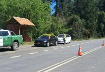 Carabineros de Linares entrega recomendaciones para paseos a la montaña y prevención de incendios forestales-1