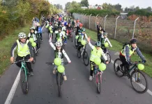 El Municipio de Molina invita a la comunidad a participar este martes en una reunión clave para el proyecto de ciclovías en la comuna--2