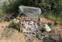 Familia y amigos denuncian destrucción de memorial en recuerdo de Francisco Albornoz en la región de O’Higgins IMG_0976
