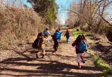 Colegio Waldorf Küme Felen de Curicó realizará taller y charla sobre desarrollo del lenguaje y crianza sana niños-camino-rural