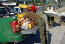Carabineros decomisó 59,5 kilos de carne de cerdo vendida sin autorización en Romeral 2959d45c-eef4-49e0-9c2c-8f186e472c5d
