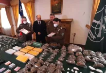 Condenan a 14 años y 6 meses de cárcel a sujeto sorprendido con más de 20 kilos de droga en Talca Condenan a 14 años y 6 meses de cárcel a sujeto sorprendido con más de 20 kilos de droga en Talca