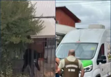 Detienen a hombre por maltrato animal en el sector Bombero Garrido de Curicó