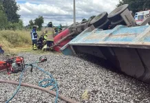 Conductor de Longaví fallece tras volcamiento de camión en el camino Bajo El Ala, Región de Ñuble IMG_2206