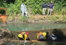 PDI investiga hallazgo de cuerpo en canal fiscal del sector El Salto en Parral PDI investiga hallazgo de cuerpo en canal fiscal del sector El Salto en Parral-1