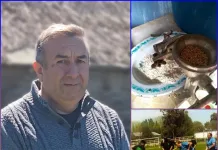 Catuto, lawen y palín: las prácticas ancestrales que resurgen en el Maule Catuto, lawen y palín las prácticas ancestrales que resurgen en el Maule