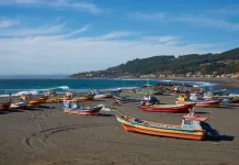 Curanipe