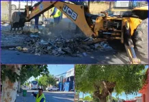 Curicó refuerza acciones para el cuidado del medio ambiente y la seguridad peatonal-0
