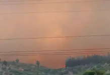 Declaran Alerta Roja en la comuna de Maule por incendio forestal “Cerro Maule”